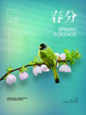 春分习俗节气地产医美