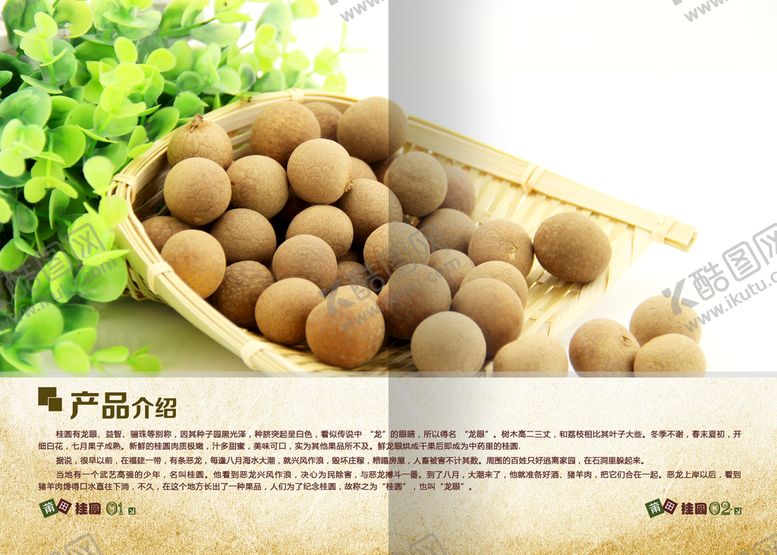 编号：87256910030924389462【酷图网】源文件下载-桂圆