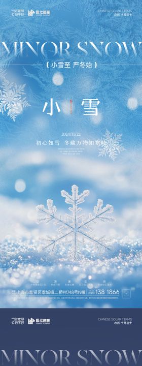 小雪雪花特写海报