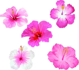 花素材水彩绿色叶子叶子墙画森林装饰画大自然