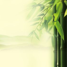 中式竹子主图
