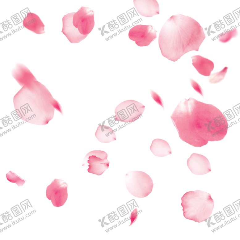 编号：43506910051051106651【酷图网】源文件下载-飘落花瓣