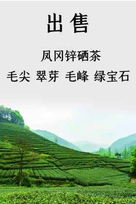 茶厂