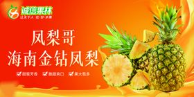 海南金钻凤梨展示