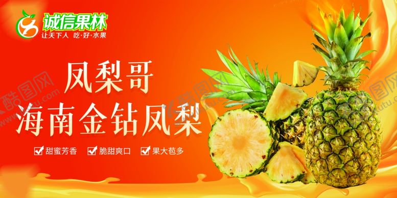 编号：48082004092034345459【酷图网】源文件下载-海南金钻凤梨展示