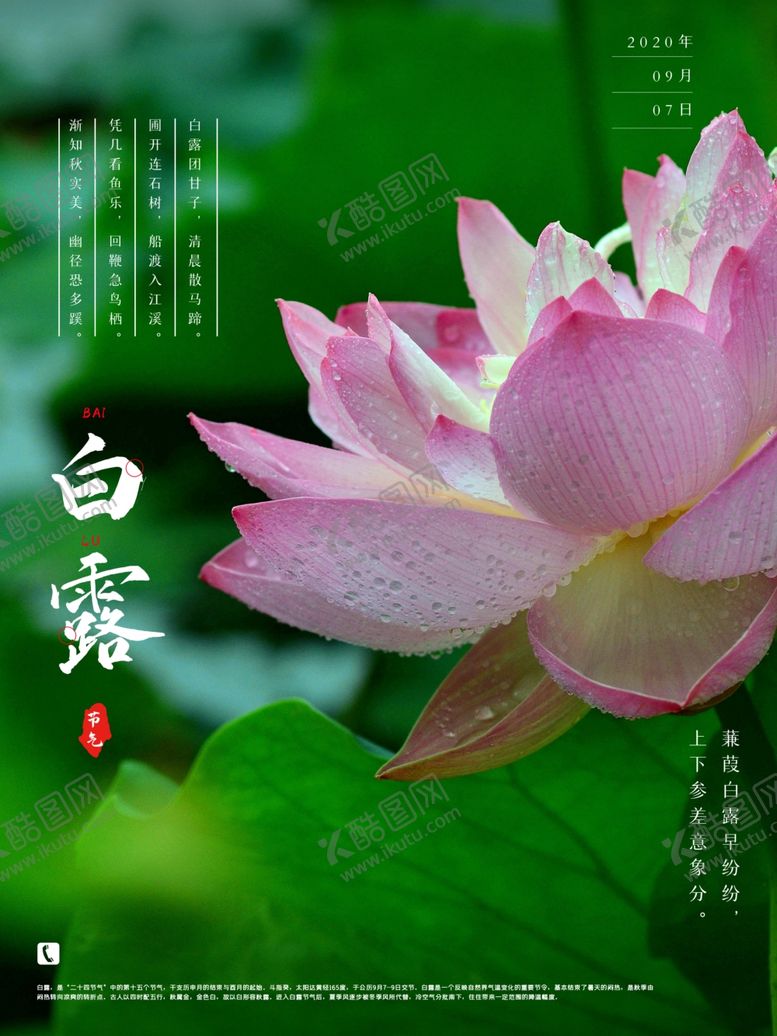 编号：57919306271254583921【酷图网】源文件下载-白露