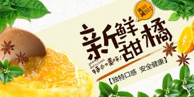 新鲜甜橘开启美味新体验