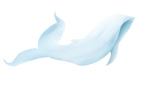 可爱卡通鲸鱼插画素材