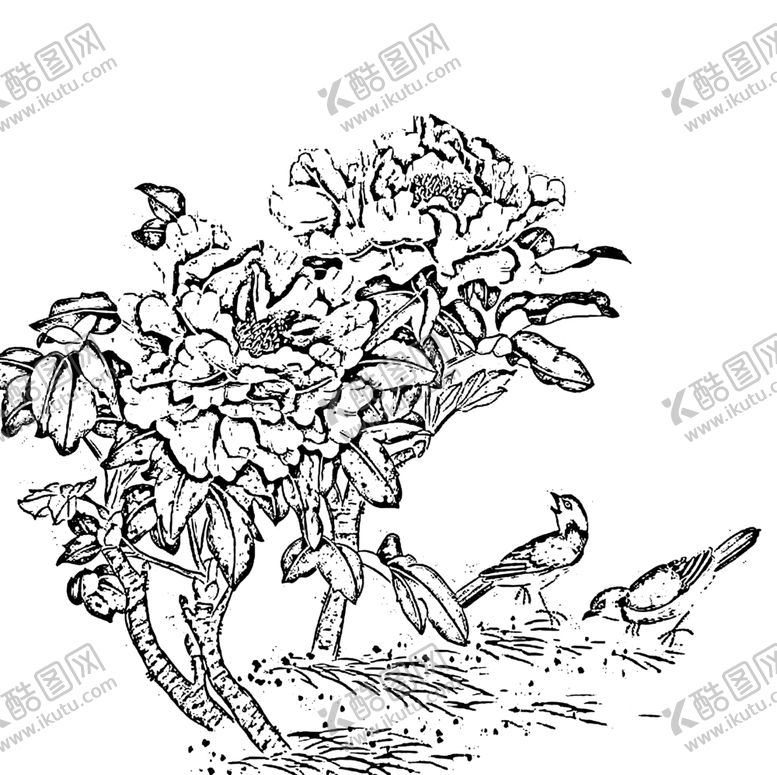 编号：39817712060637516835【酷图网】源文件下载-牡丹