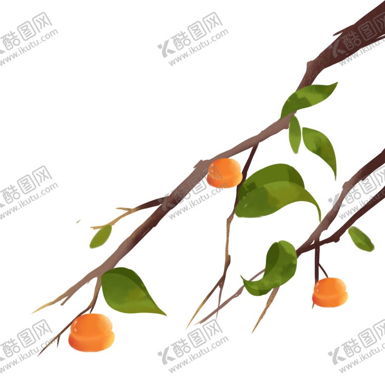 编号：65618207092247298369【酷图网】源文件下载-冬季柿子素材