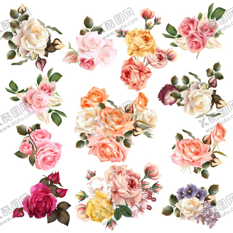 编号：10472609191732023760【酷图网】源文件下载-玫瑰花