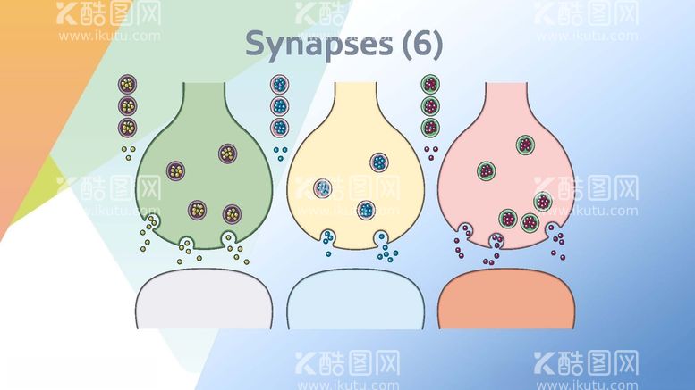 编号：54738712181840482728【酷图网】源文件下载-神经学