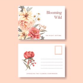 花卉明信片