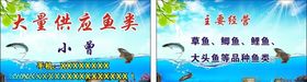 大量供应鱼类名片