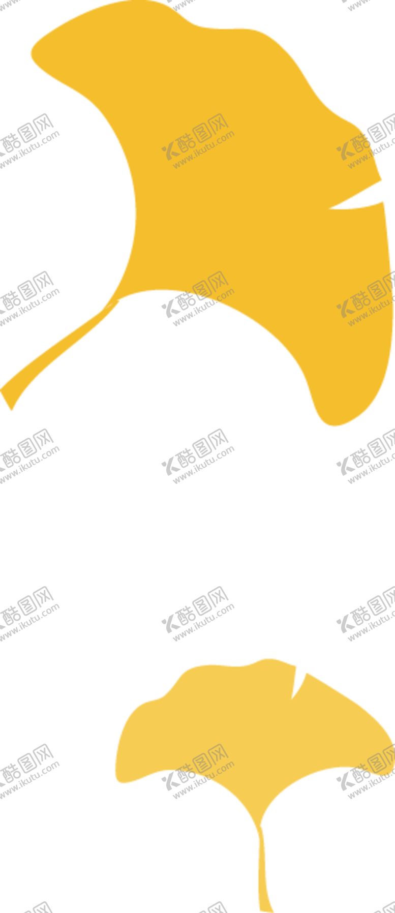 编号：50915804210548388876【酷图网】源文件下载-银杏叶