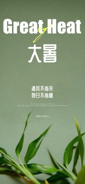 24节气简约大暑海报