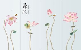 荷花