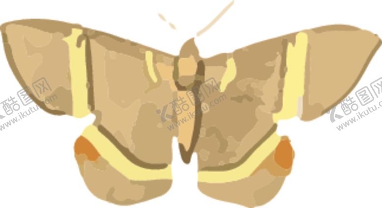 编号：15409110121321107198【酷图网】源文件下载-蝴蝶昆虫插画