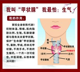 甲状腺健康