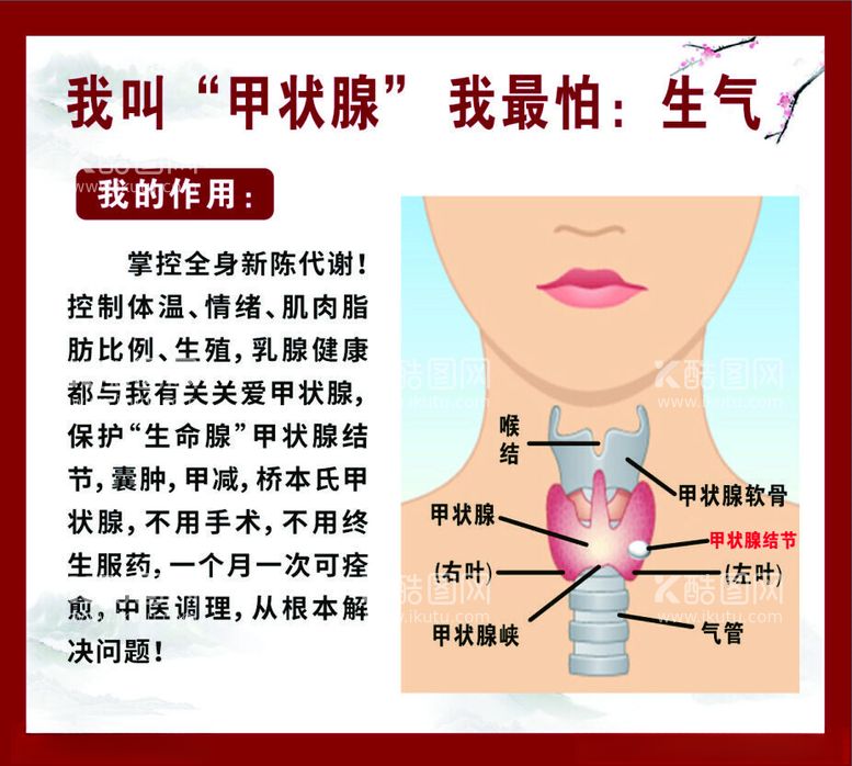 编号：81983012151625113658【酷图网】源文件下载-甲状腺