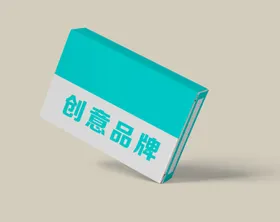纸盒样机展示产品mockups模板展示