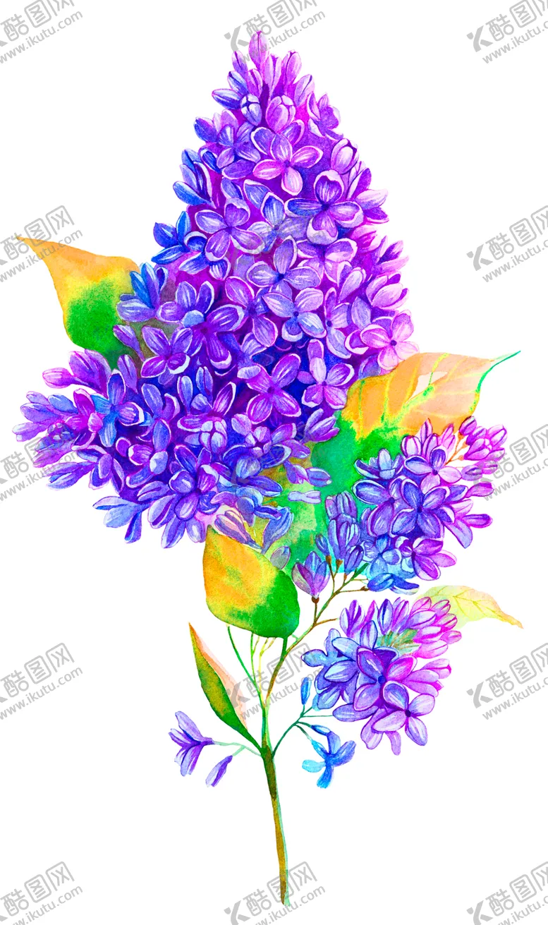 编号：57639807030942173591【酷图网】源文件下载-鲜花素材