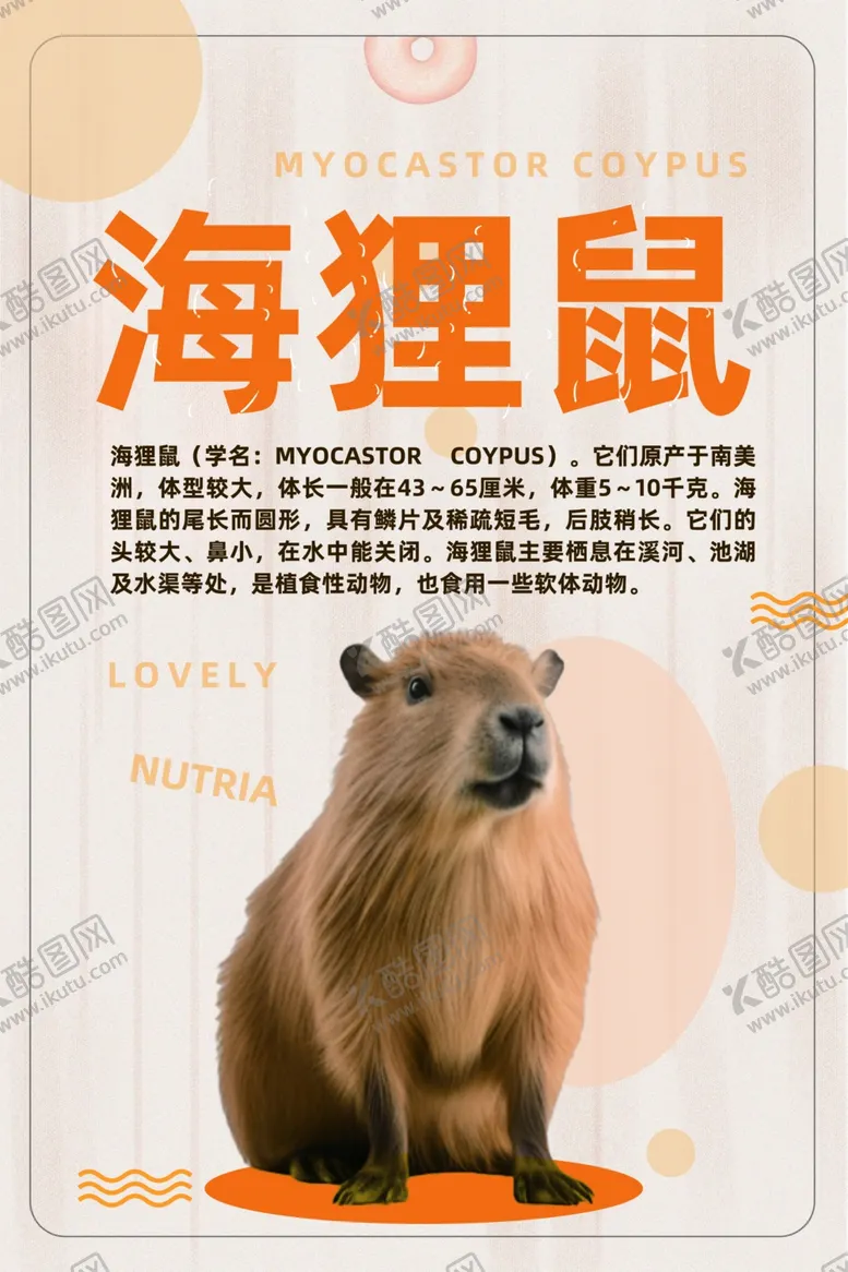 编号：65217802210404239354【酷图网】源文件下载-海狸鼠简介