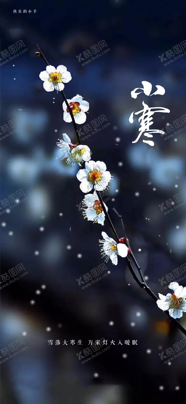 编号：41502306250452129649【酷图网】源文件下载-小寒节气海报
