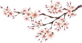 创意花朵植物图案