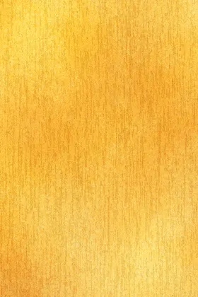 金色背景木纹纹理边框