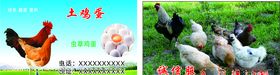 土鸡蛋名片