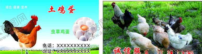编号：53281505240213093466【酷图网】源文件下载-土鸡蛋名片
