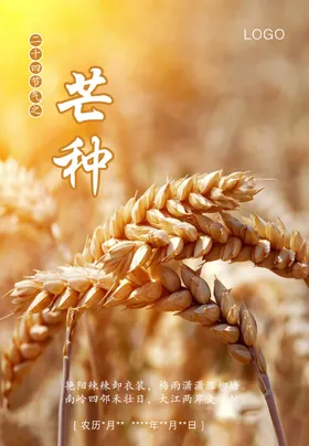 二十四节气芒种刷图活动日