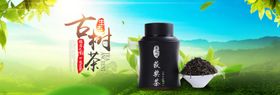 古树茶
