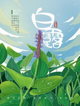 白露珠地产节气单张