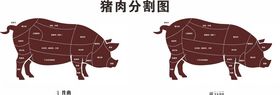 猪肉分割图