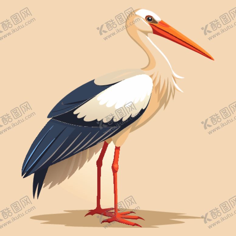 编号：73539801260339017994【酷图网】源文件下载-拟真风格白鹳