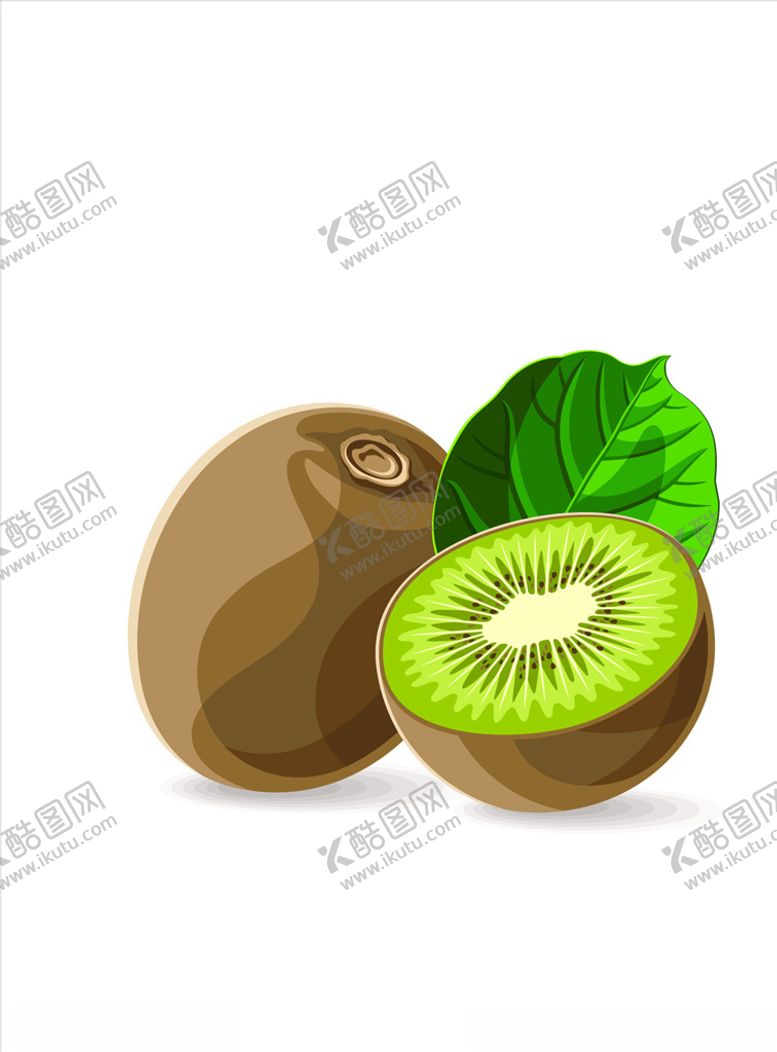 编号：83164206240155277830【酷图网】源文件下载-猕猴桃