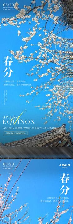 春分梨花风景地产海报