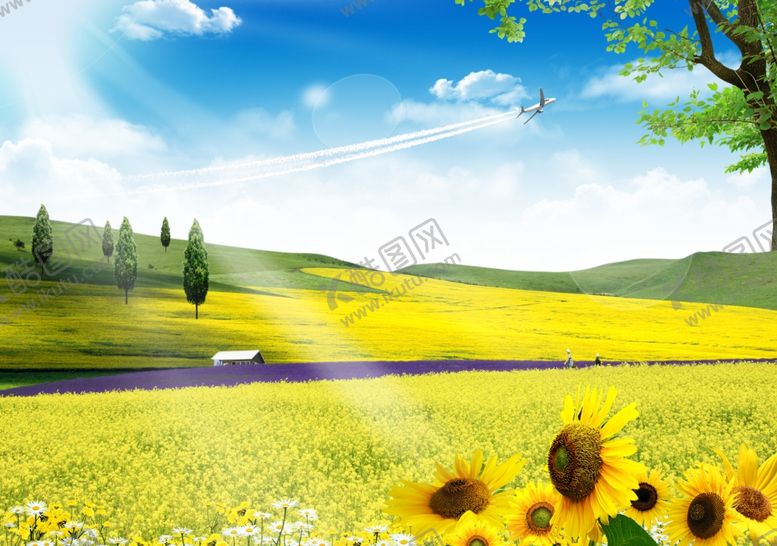 编号：59864704041307532543【酷图网】源文件下载-蓝天白云草地