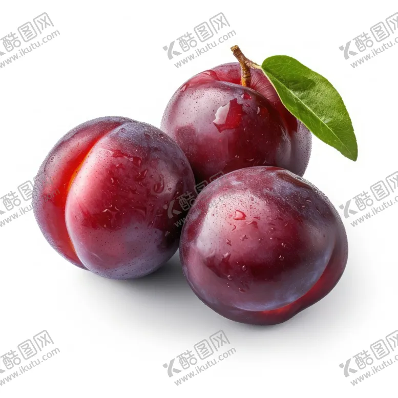 编号：59985001131629457801【酷图网】源文件下载-李子