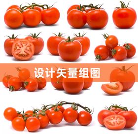 番茄西红柿