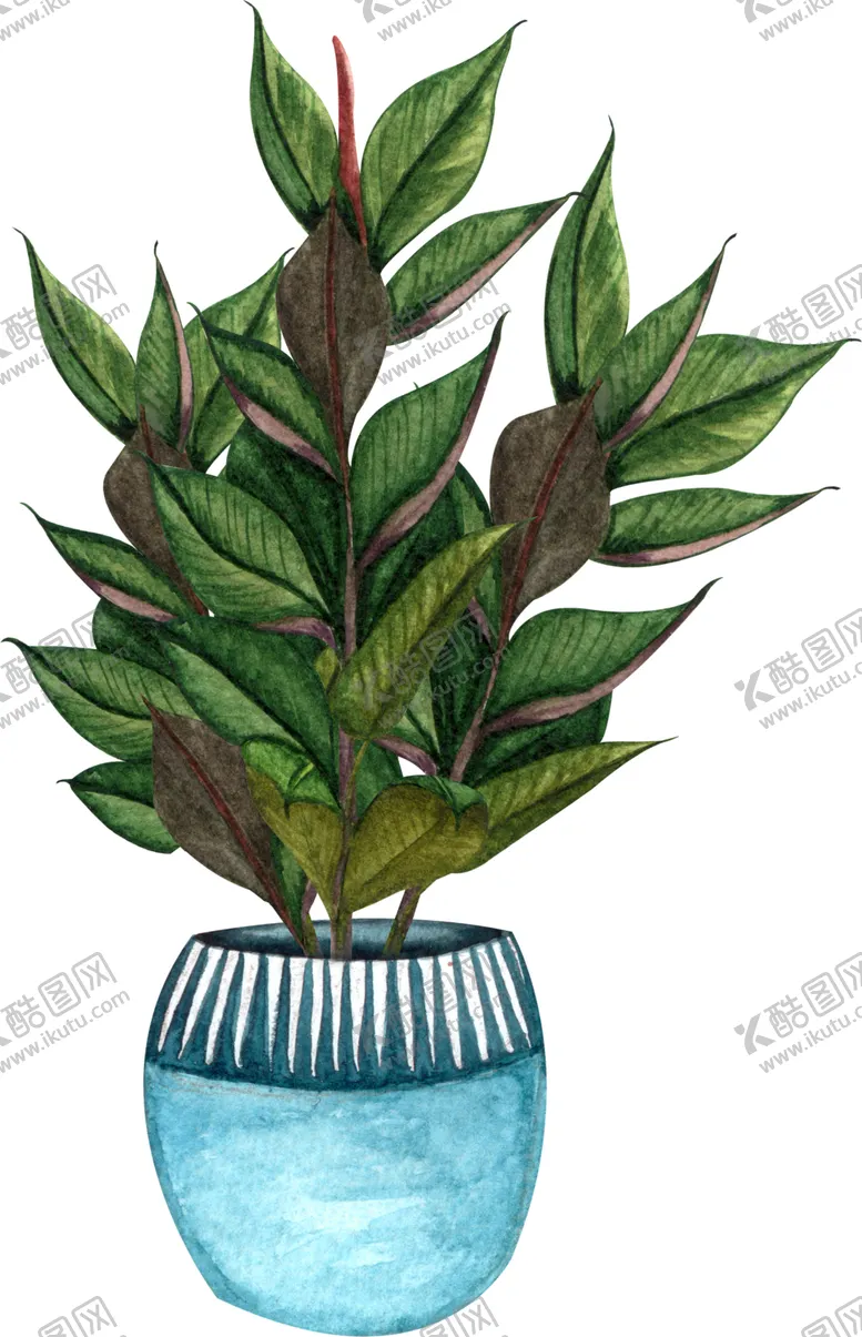 编号：69186006271133002411【酷图网】源文件下载-水彩绿植盆栽