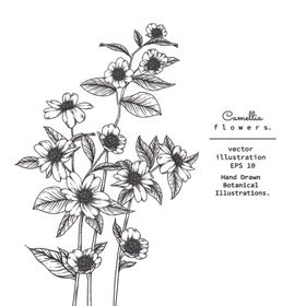 花卉花蕊标志
