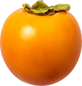 柿子