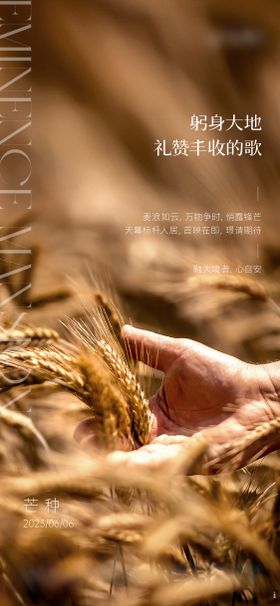 芒种节气海报二十四质感简约地产