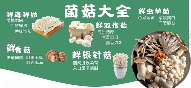 编号：21600107070002393008【酷图网】源文件下载-菌菇大全