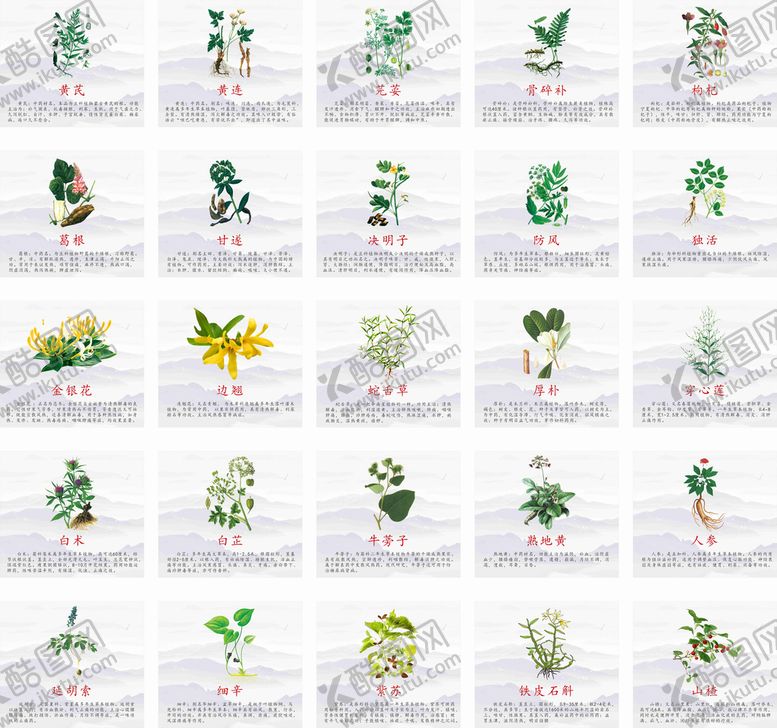 编号：53470609201000552685【酷图网】源文件下载-中草药海报