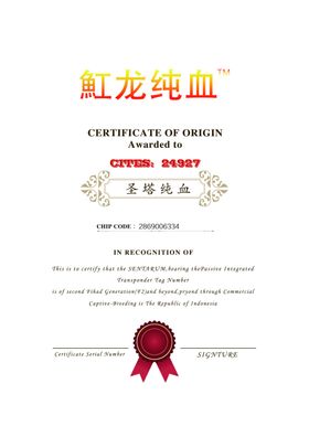 证书