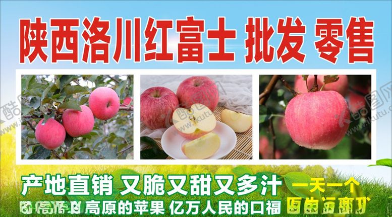 编号：22785210141739288873【酷图网】源文件下载-洛川苹果